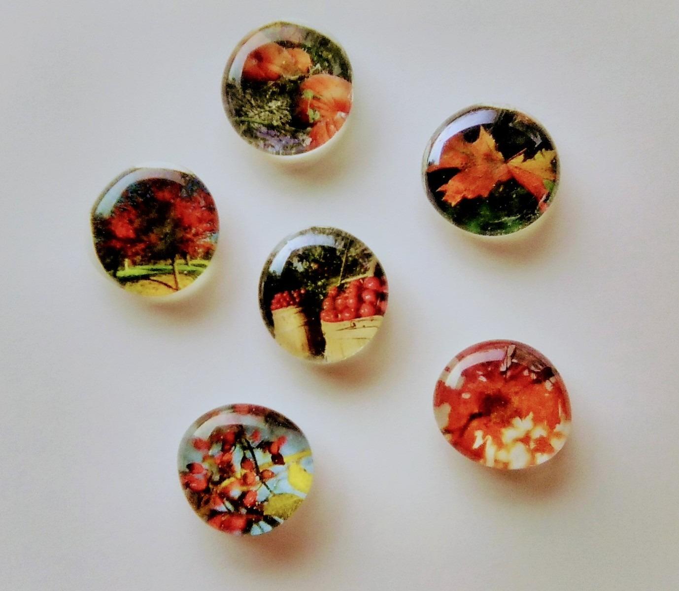 Glass Picture Magnets - Autumn Glory