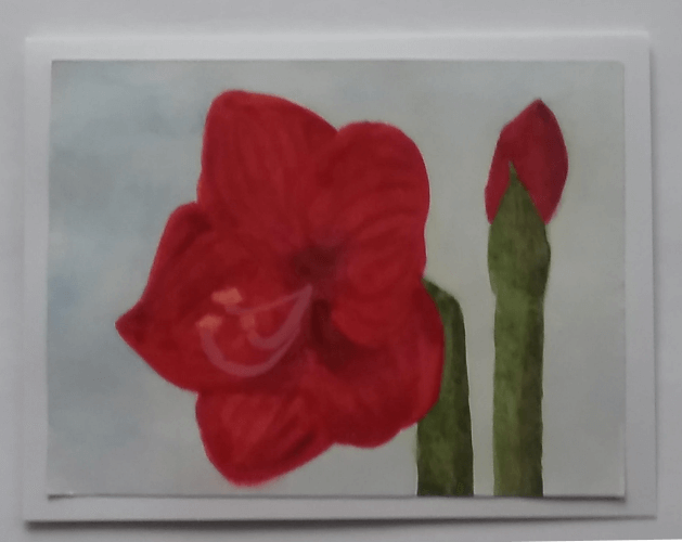 Red Amaryllis Watercolor Painting with Blue Background